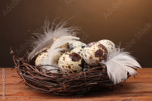 quail eggs in nest on wooden table on brown background