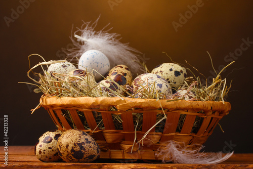 quail eggs in nest on wooden table on brown background