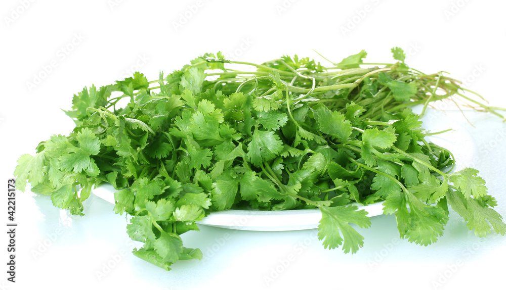 Coriander in a white plate isolated on white Coriander in a white plate isolated on white