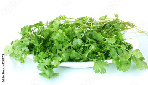 Coriander in a white plate isolated on white