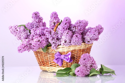 Fototapeta Naklejka Na Ścianę i Meble -  beautiful lilac flowers in basket on purple background