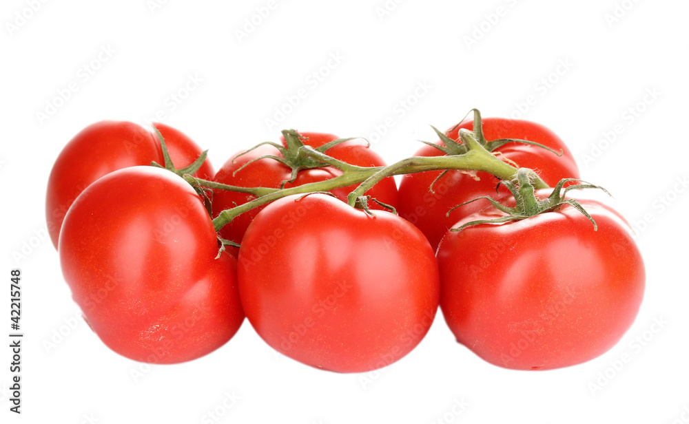 Fresh tomatoes on branch isolated on white Fresh tomatoes on branch isolated on white