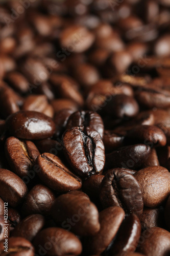 Coffee beans close up