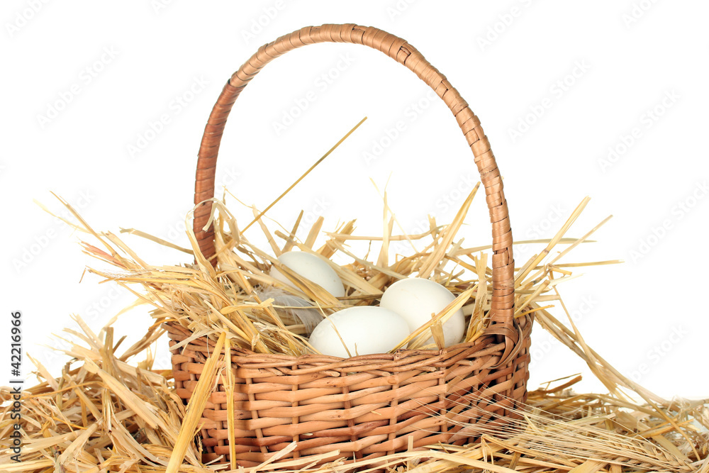 white eggs in basket on straw on white background