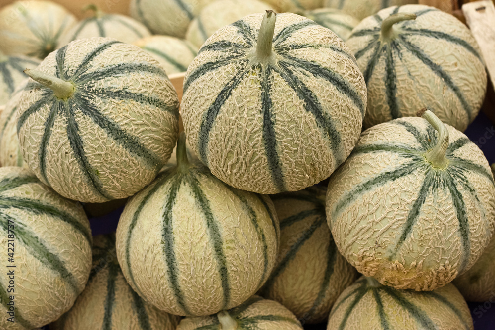 Melons Melons