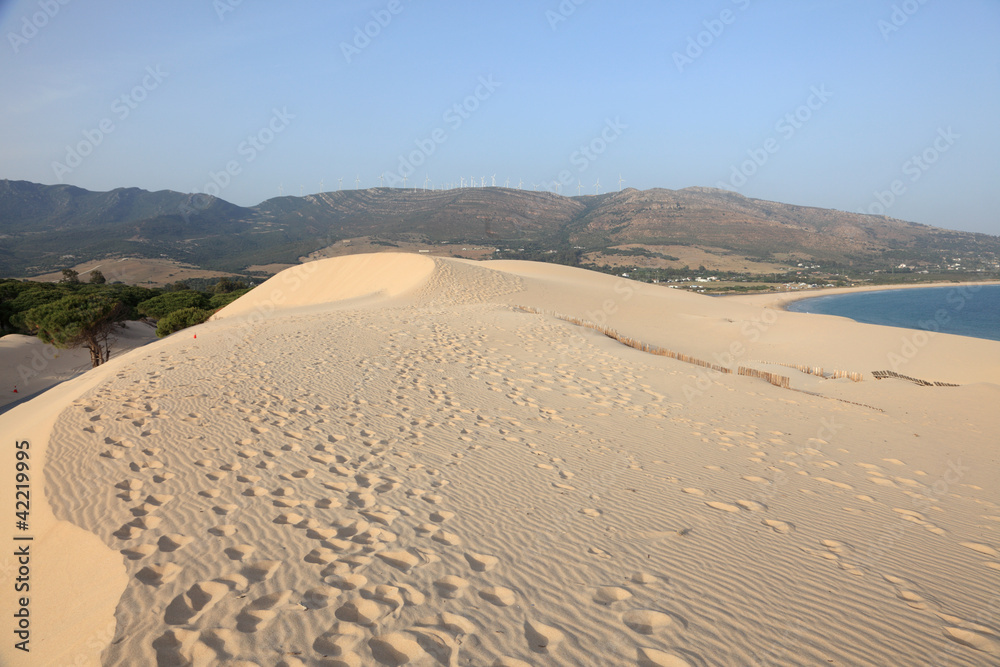 Dune at the Punta Paloma in Andalusia, Spain Dune at the Punta Paloma in Andalusia, Spain