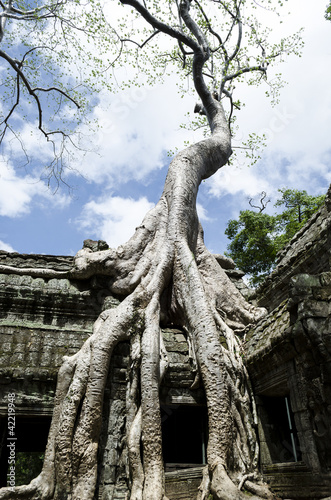 ta phrom
