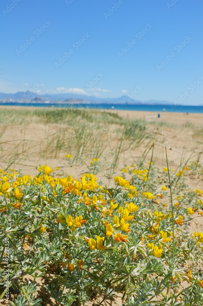 Fototapeta premium Mediterranean spring