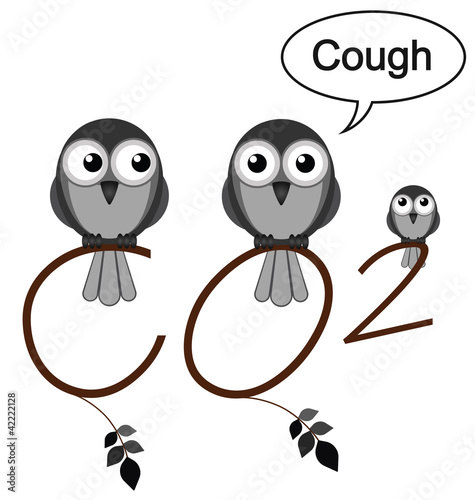 CO2 twig text isolated on white background