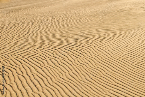 Desert sand background of a Curonian Spit dune
