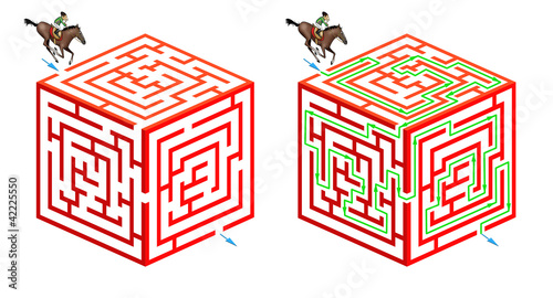 Horseriding cubic maze