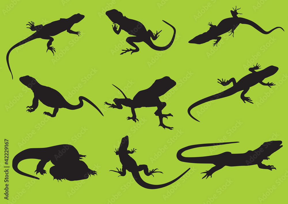 Naklejka premium vector silhouettes lizard