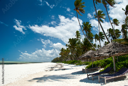 Trobical beach in Zanzibar photo