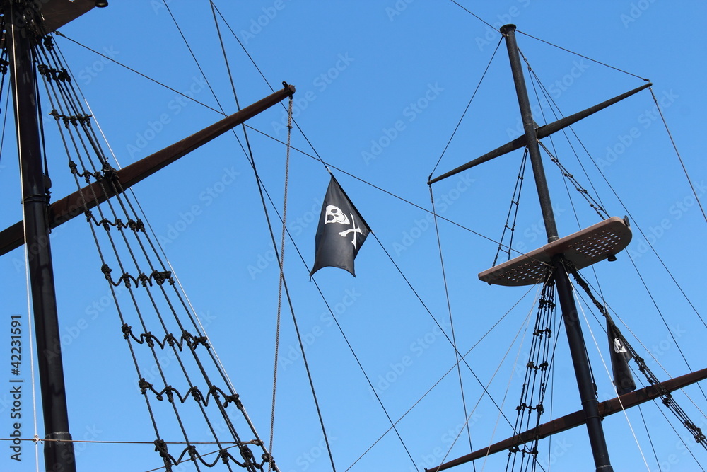 Fototapeta premium Le drapeau de pirate