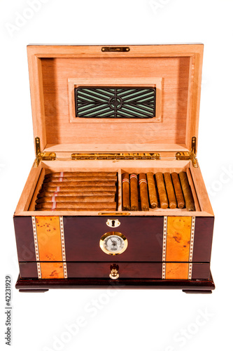 Cigars in humidor