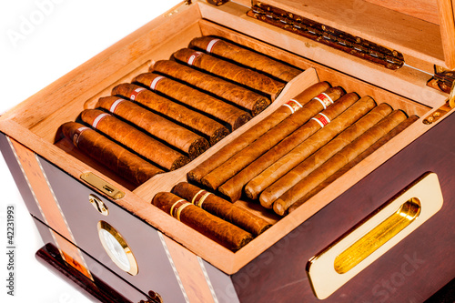 Cigars in humidor