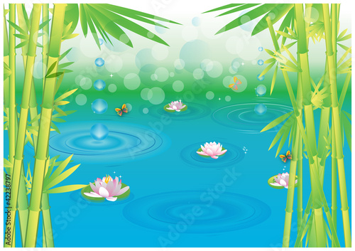 Magical wetlands with bamboo