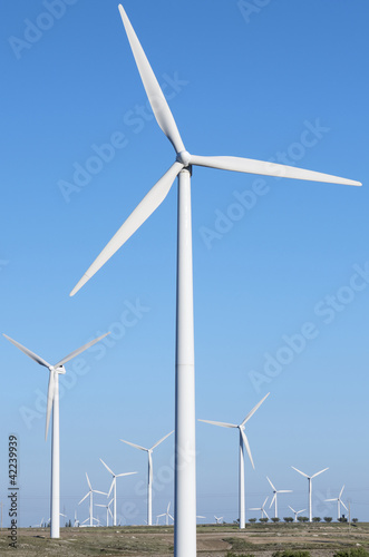 wind energy