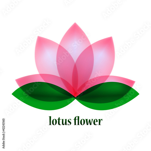 Fototapeta Naklejka Na Ścianę i Meble -  Vector lotus flower