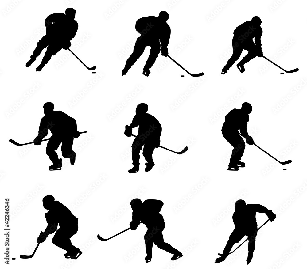 Obraz premium Hockey player