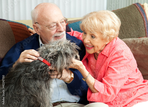 Seniors at Home with Their Dog photo