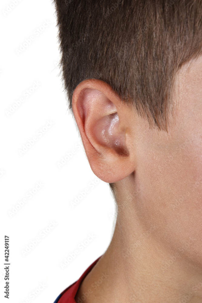 Obraz premium Young Boy's Ear