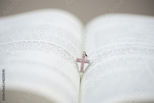 Bible and the Pink Cruxific photo