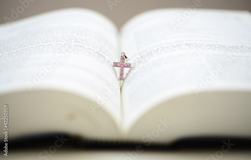 Bible and the Pink Cruxific in the spine