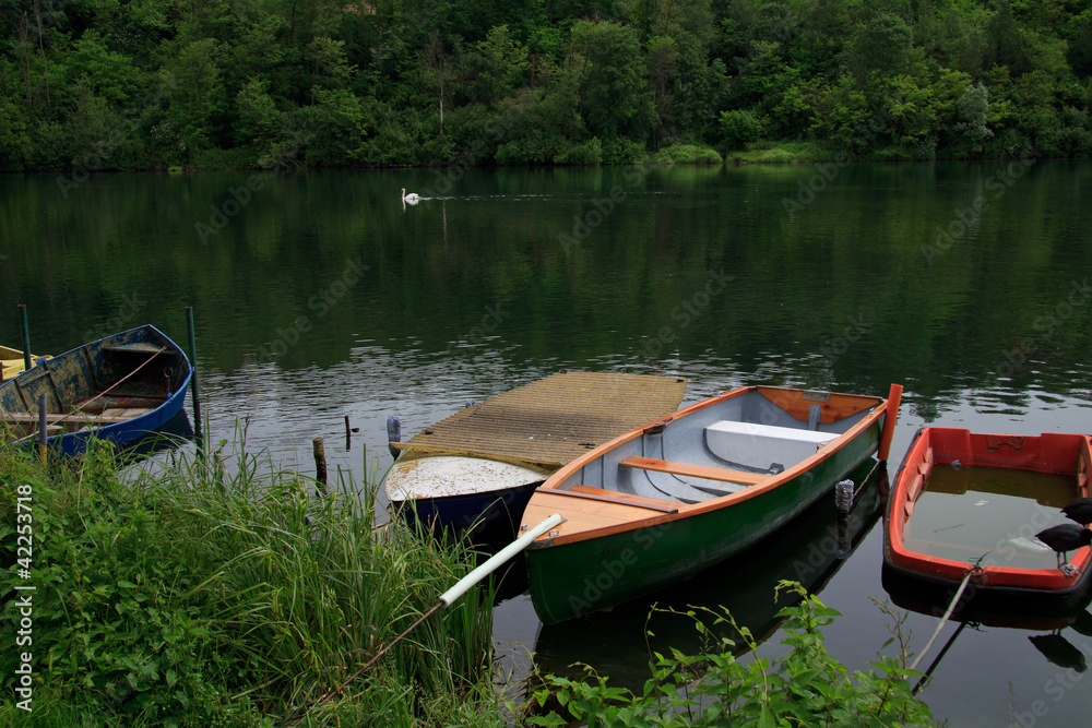 barche sul fiume Adda. Sullo sfondo un cigno reale barche sul fiume Adda. Sullo sfondo un cigno reale