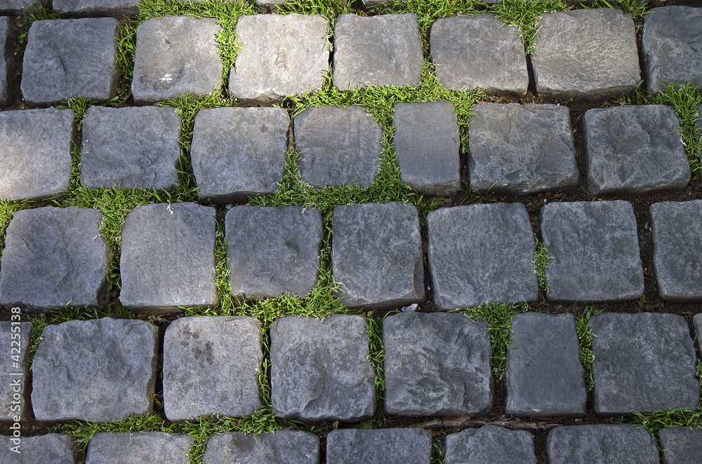 Obraz premium Cobbled road. Áóëûæíàÿ ìîñòîâàÿ