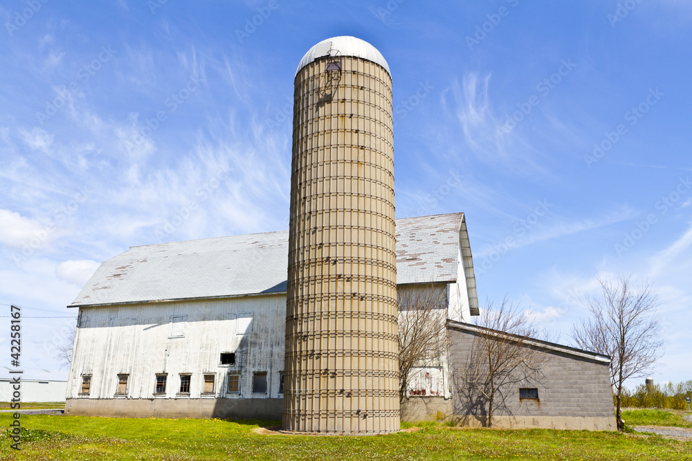 American Countryside