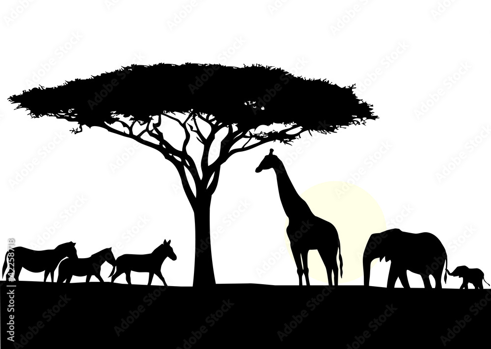 Fototapeta premium Africa silhouette background