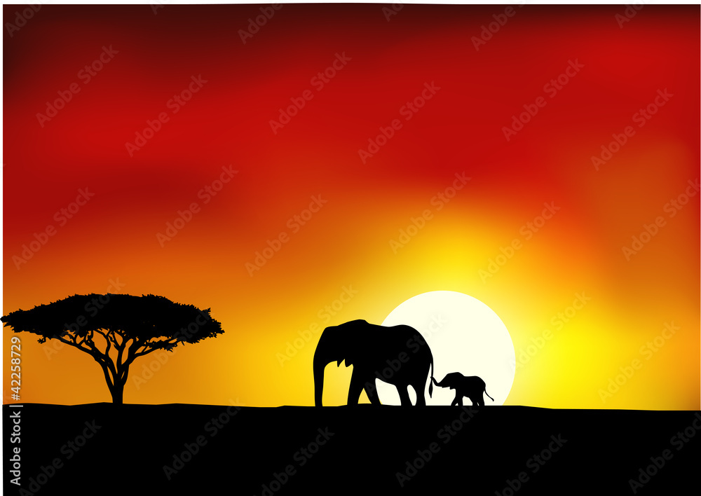 Naklejka premium Africa sunset