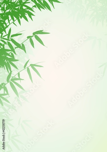 Bamboo tree background