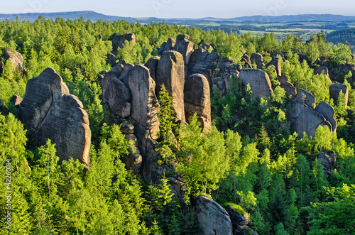 Rocks in the forest