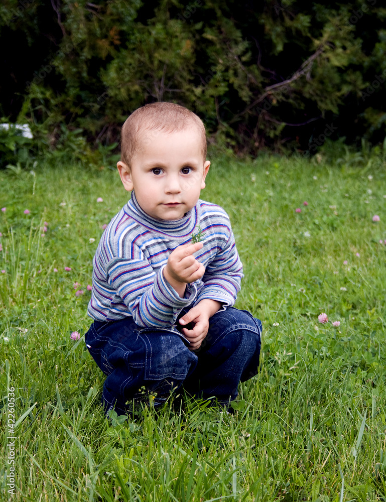 beautiful little boy playing with a flower beautiful little boy playing with a flower