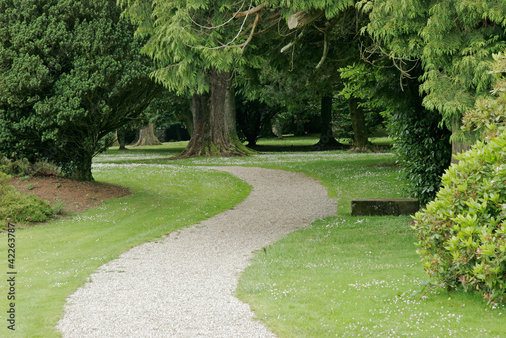 Path in a tranquil park with lush green lawn and trees