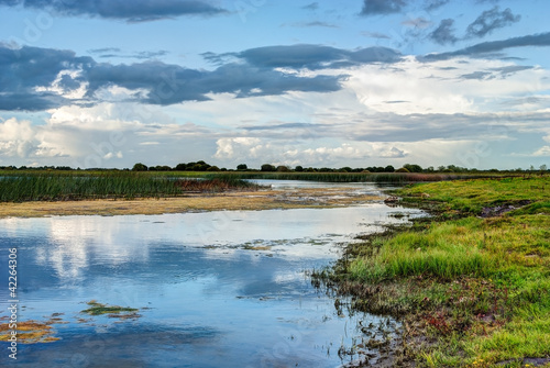 Shannon river landscape, County Offaly, Ireland photo