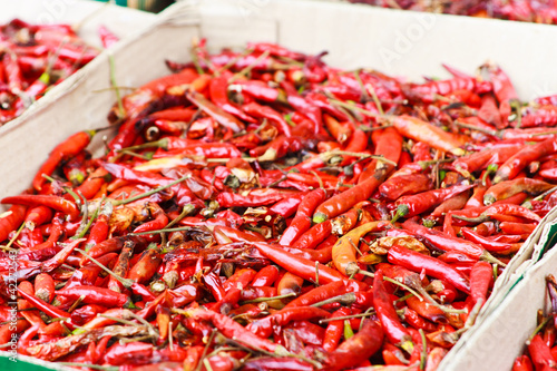Dry red chilli