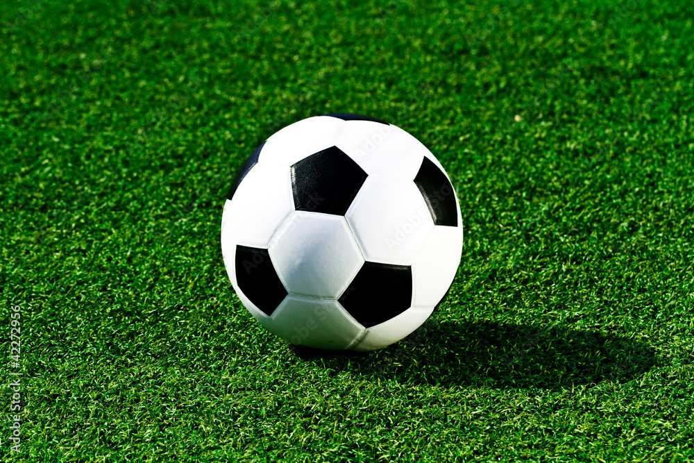 Soccer ball on green grass Soccer ball on green grass