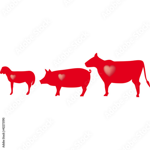 carne
