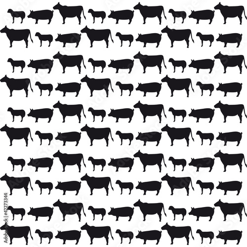 carne