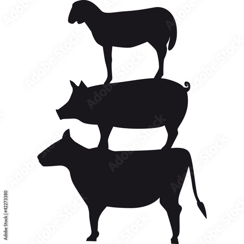 carne