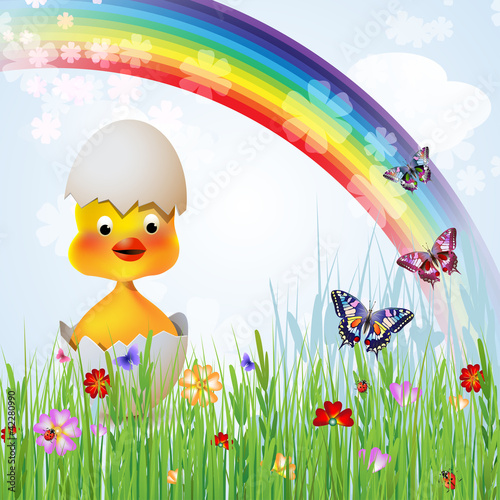 Cute Easter chicken in egg shell