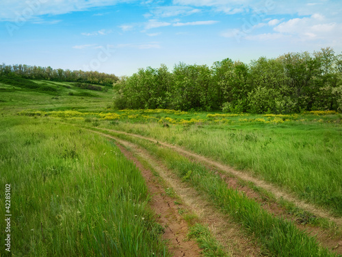 spring landscape