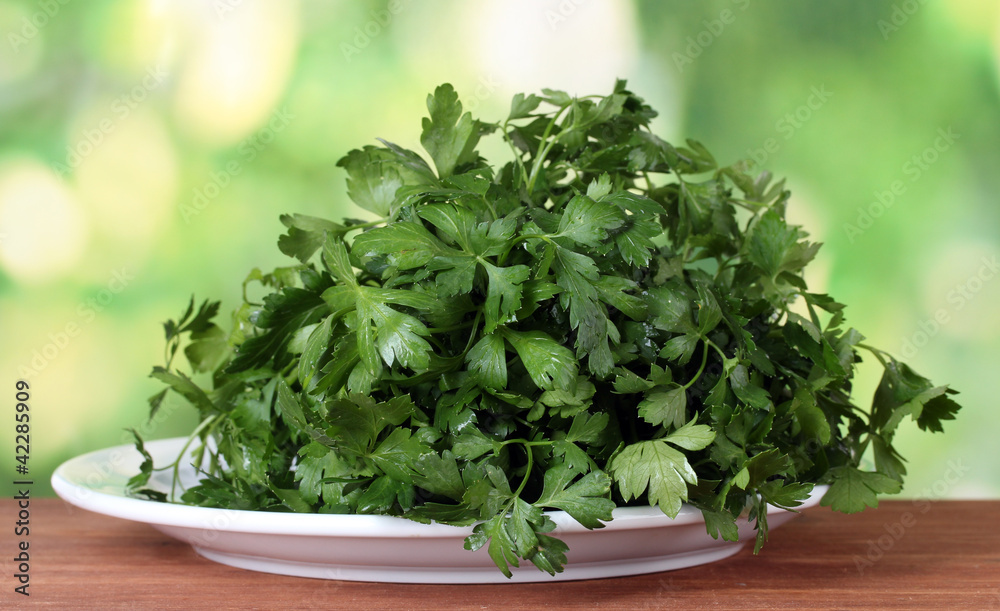 Parsley in a white plate on green background