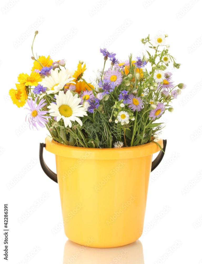 beautiful bouquet of bright  wildflowers in bucket, isolated