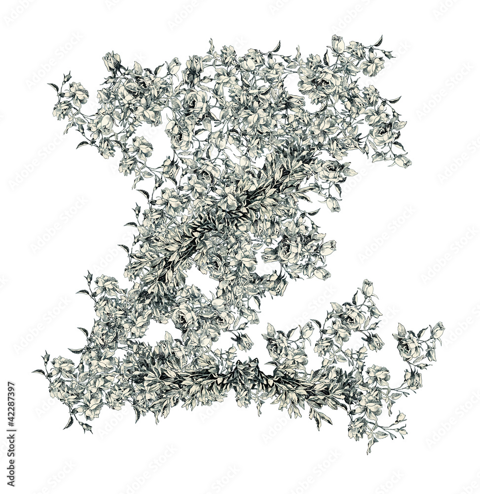 Letter Z. Letter Z.