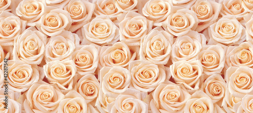 Beige roses seamless pattern