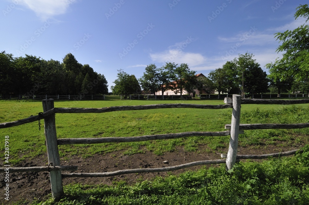 Farm fence